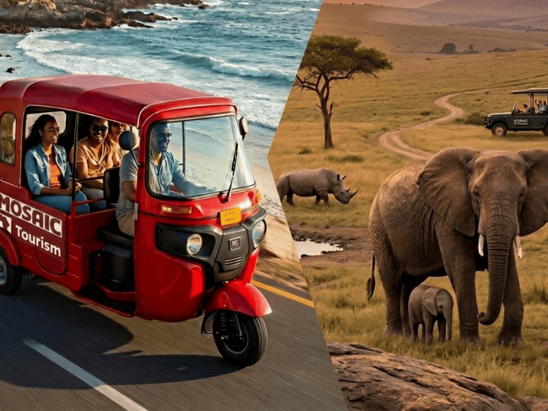 things to do in port elizabeth